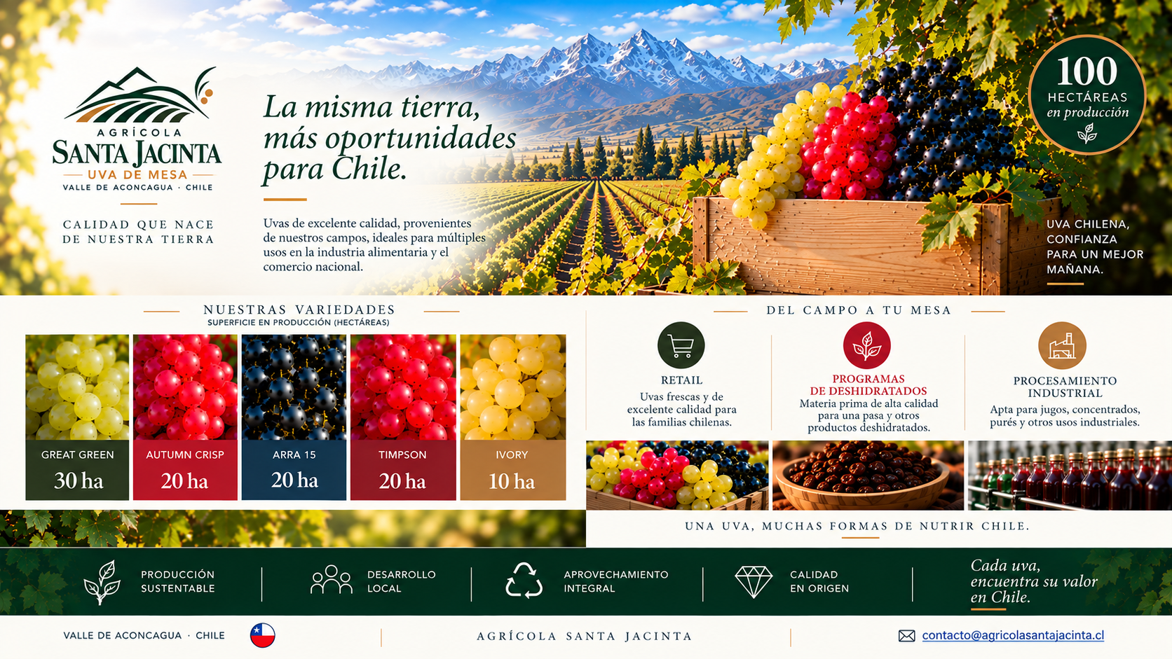 Agrícola Santa Jacinta · Uva de mesa · Valle de Aconcagua · Chile